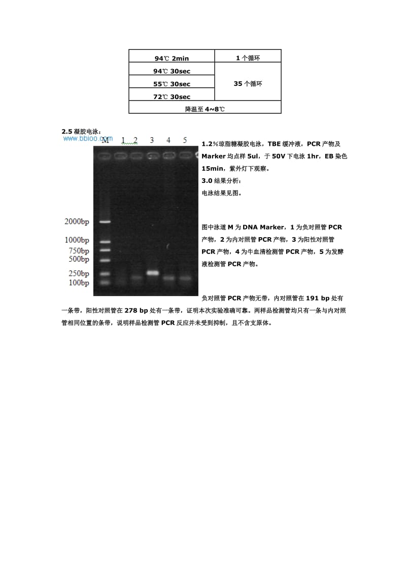 支原体PCR检测实验报告.doc_第2页