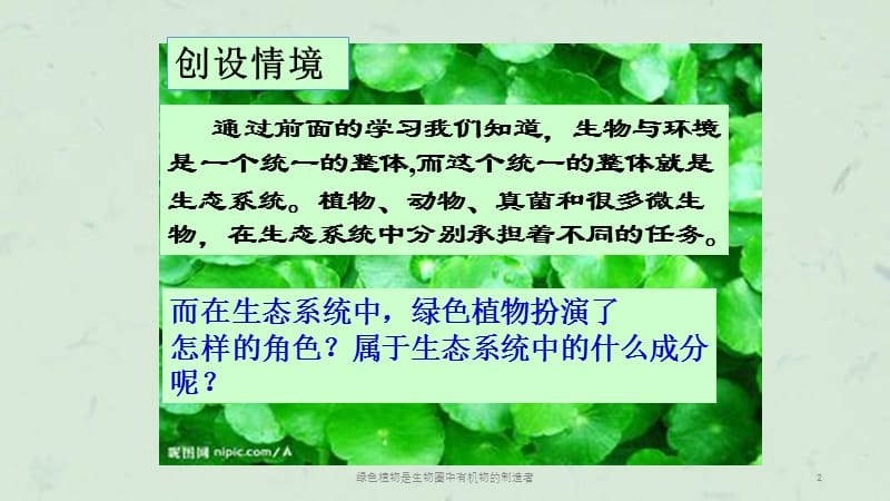 绿色植物是生物圈中有机物的制造者课件.ppt_第2页