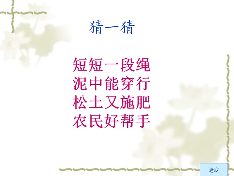 《蚯蚓》PPT课件[1].ppt_第1页