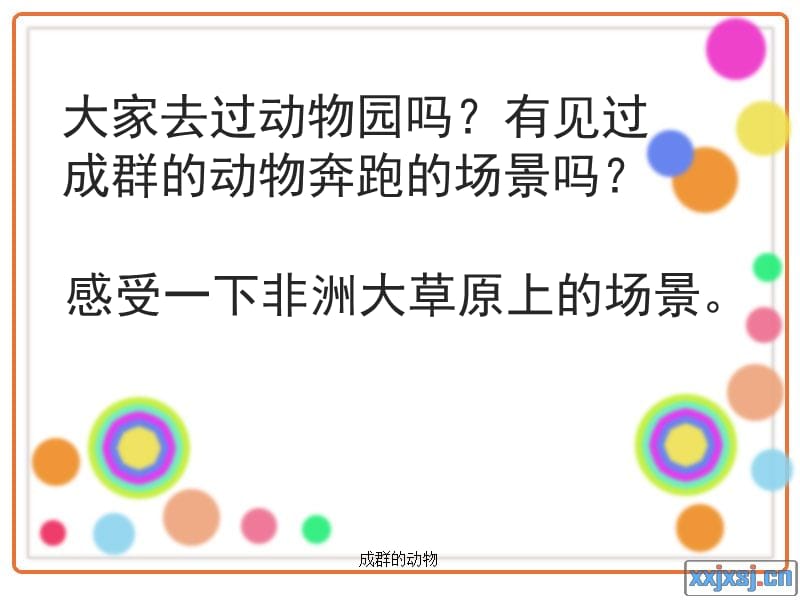 成群的动物课件.ppt_第2页