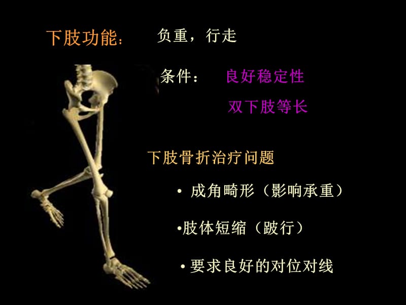 髌骨骨折优秀课件.ppt_第3页