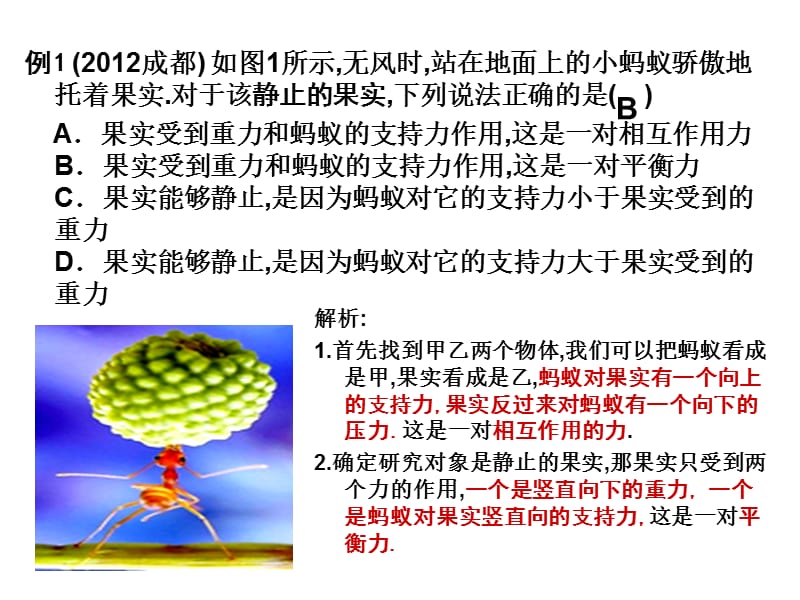 初中物理微课如何区分平衡力与相互作用力.ppt_第3页