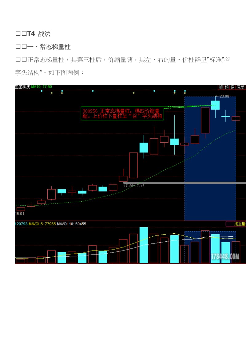 T 4 变异战法 小结（附图）【梯量柱】.doc_第1页