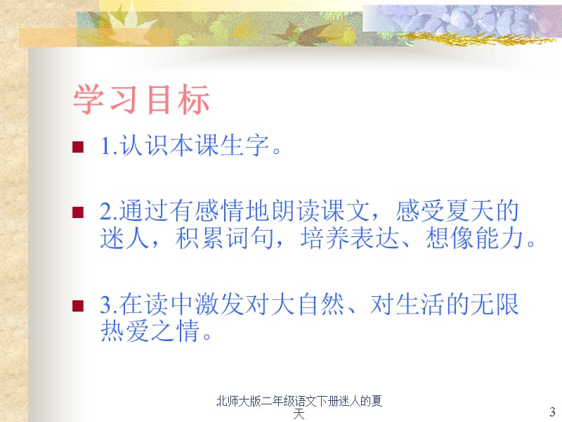 北师大版二年级语文下册迷人的夏天课件.ppt_第3页