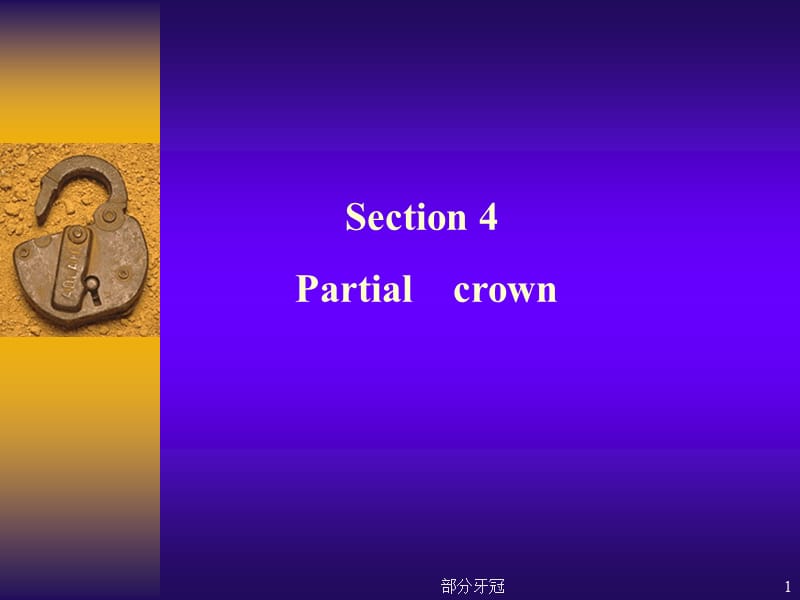 部分牙冠课件.ppt_第1页