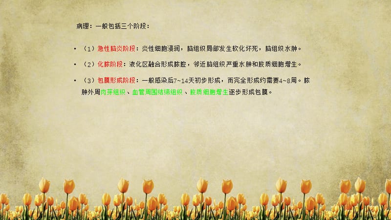 脑脓肿的影像学诊断（精选干货).ppt_第3页