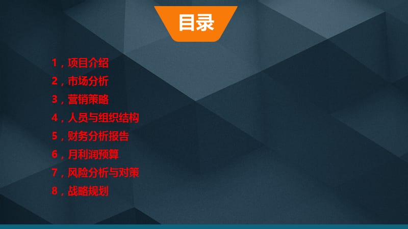 阿里巴爷贸易有限公司计划书课件.ppt_第2页