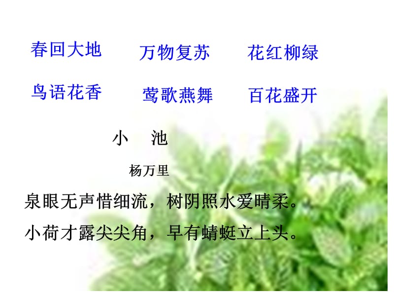 爱护花草树木课件.ppt_第2页