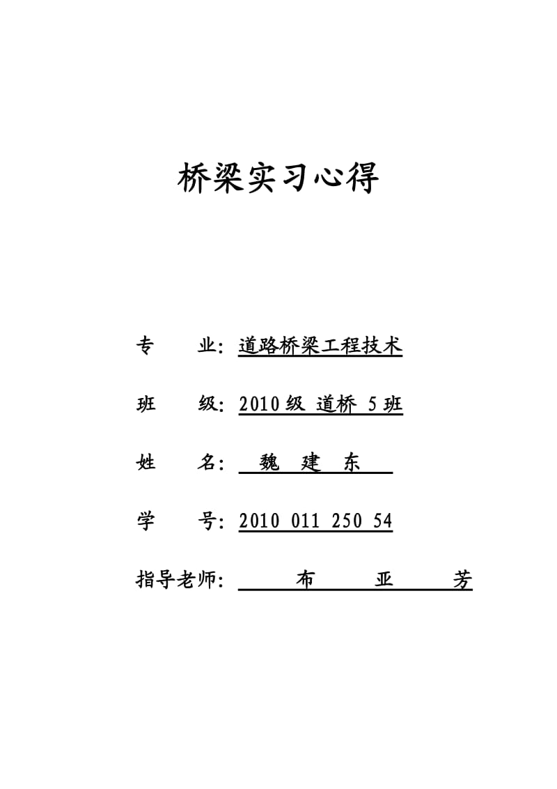 桥梁实习心得.doc_第1页