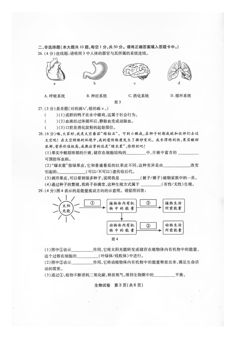 福州中考生物试题.doc_第3页