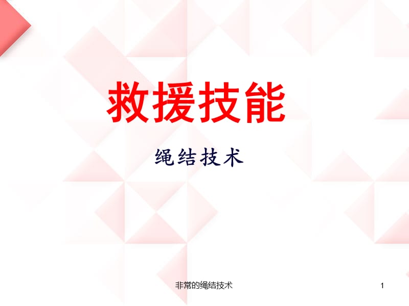 非常的绳结技术课件.ppt_第1页