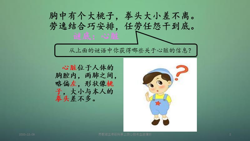 苏教五年级科学上册心脏与血液循环.ppt_第2页