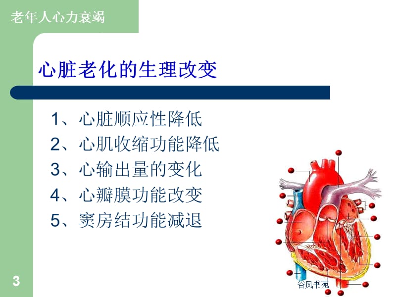 老年心衰和缺血性心脏病[医药荟萃].ppt_第3页