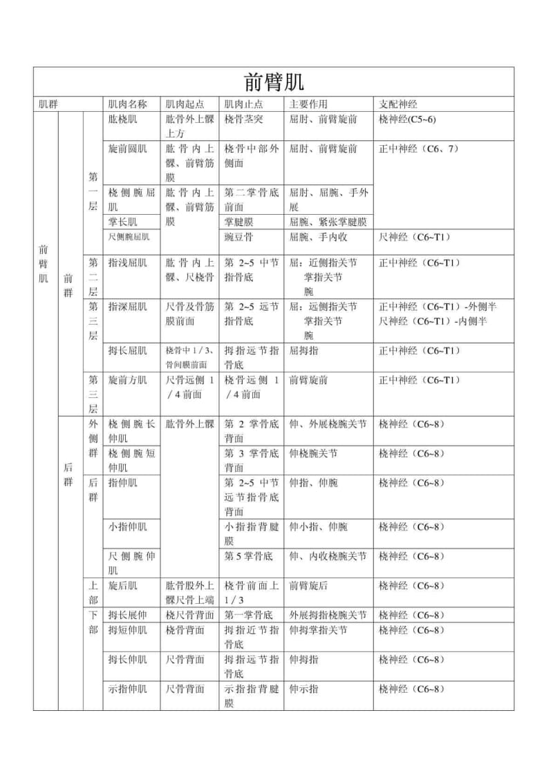 上肢肌肉分布、神经支配.doc_第2页