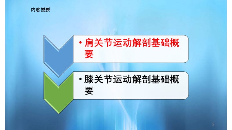 人体肩关膝关运动解剖学基础(实用课件).pptx_第3页