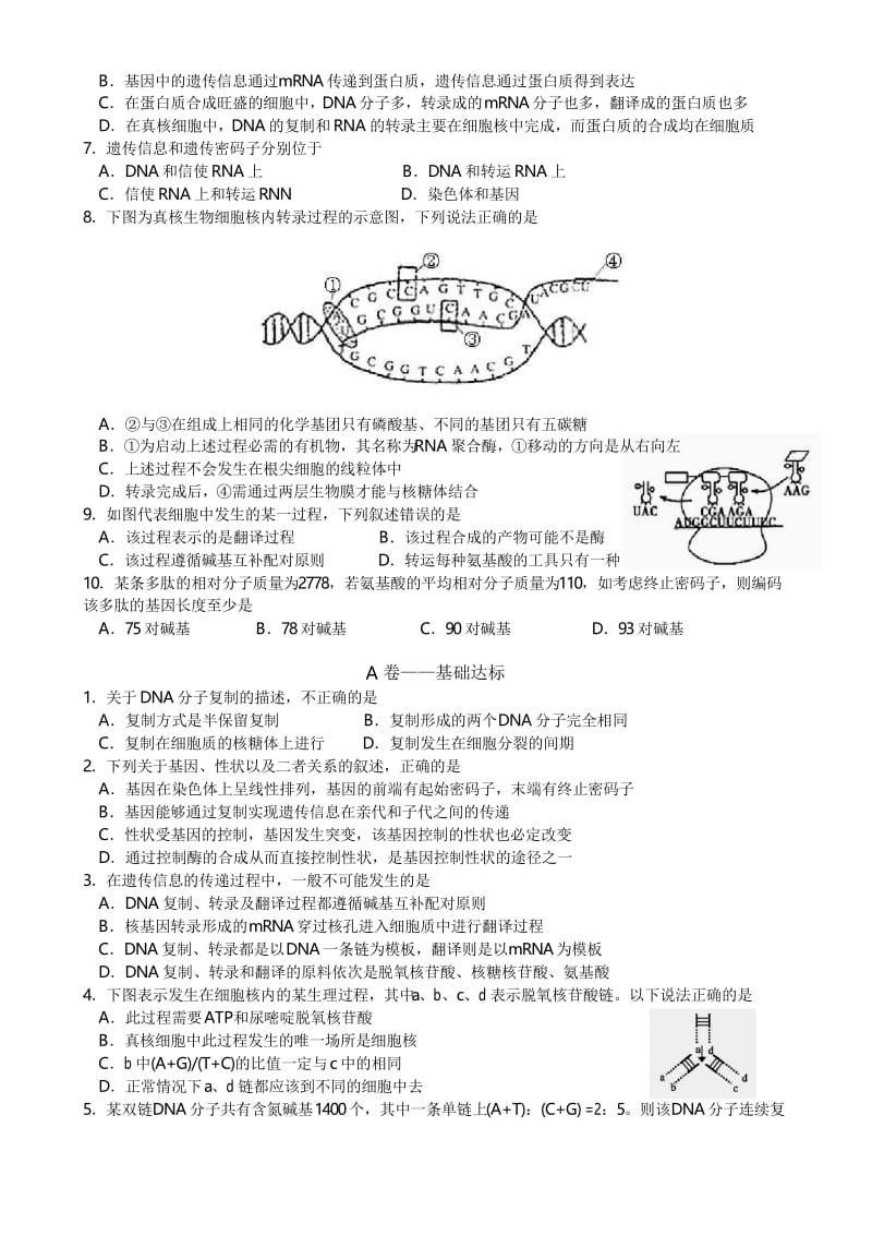 学测复习学案十二：DNA的复制、转录和翻译.docx_第2页