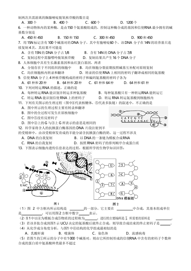 学测复习学案十二：DNA的复制、转录和翻译.docx_第3页