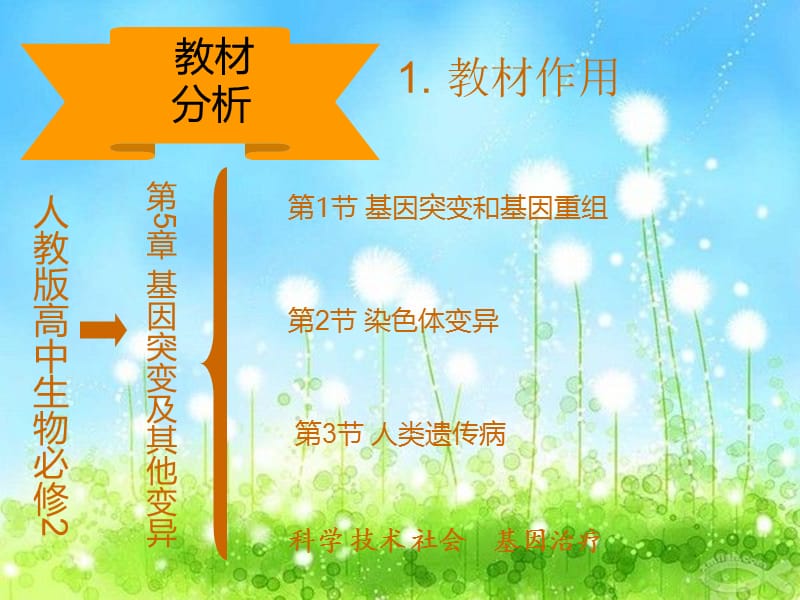 基因突变和基因重组说课.ppt_第3页