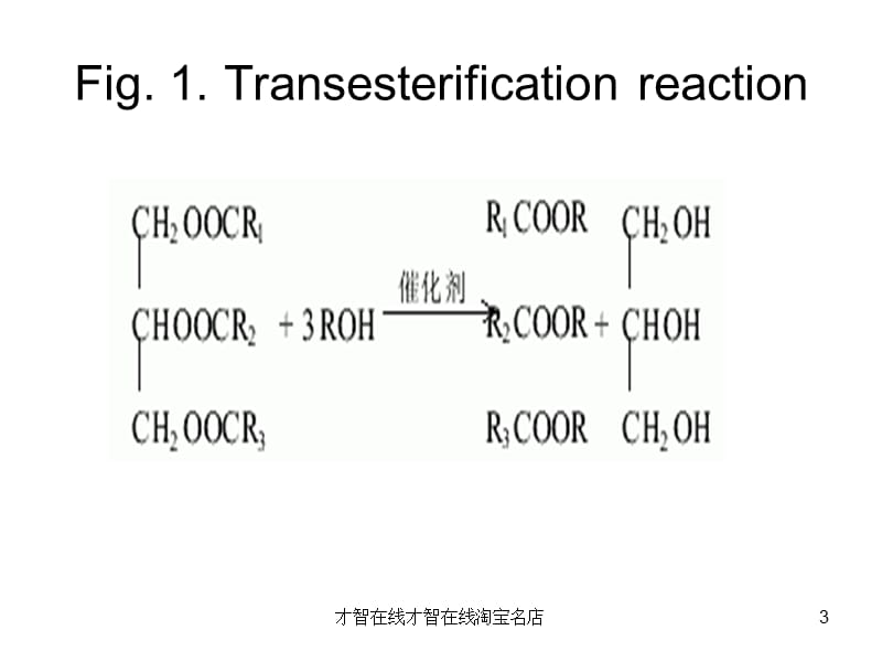 全细胞生物催化剂用于生物柴油生产.ppt_第3页