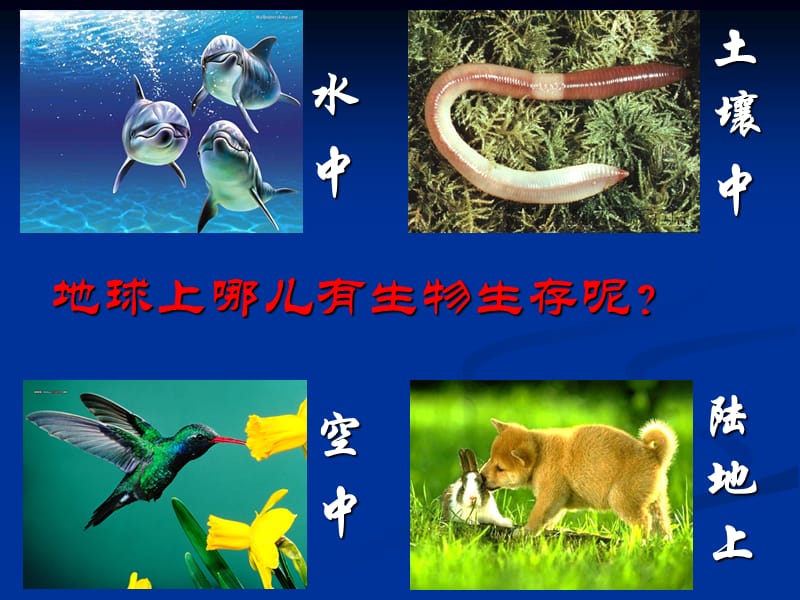 第七章 人类在生物圈的作用.ppt_第2页