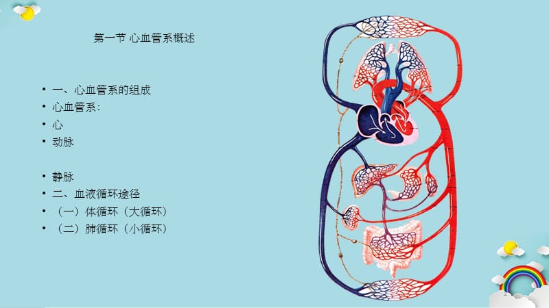 人体解剖学脉管系统动脉系统(实用课件).ppt_第2页