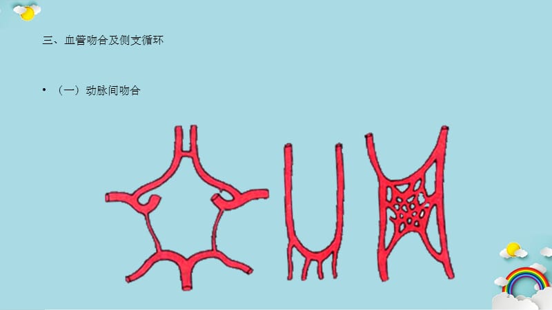 人体解剖学脉管系统动脉系统(实用课件).ppt_第3页