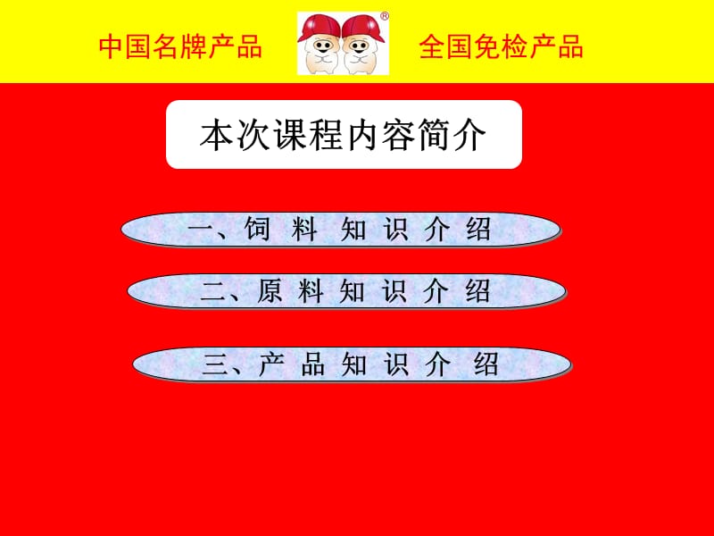 双胞胎一：5饲料原料产品知识.ppt_第2页