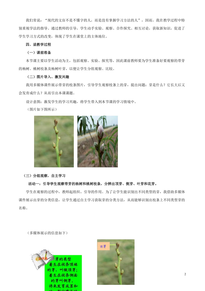 八年级生物上册 芽的发育与整枝打杈说课 冀教版.doc_第2页