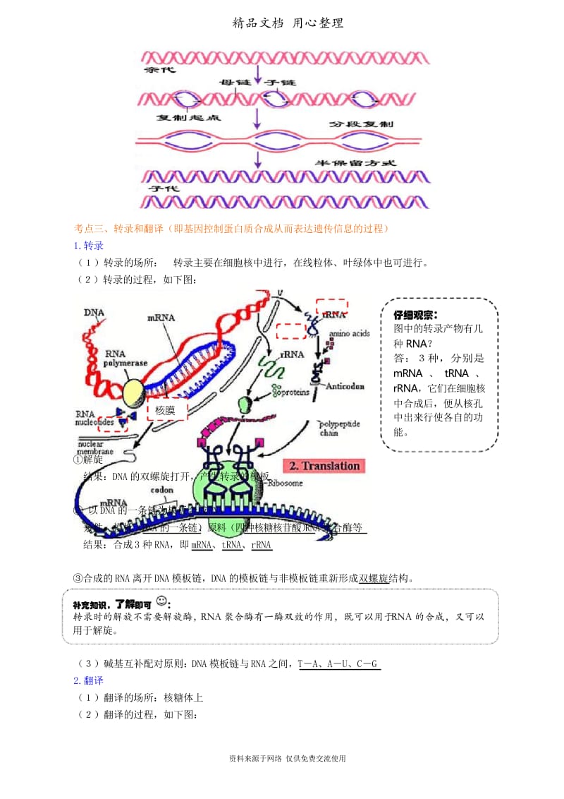 人教版高中生物总复习[知识点整理及重点题型梳理]——中心法则.docx_第3页