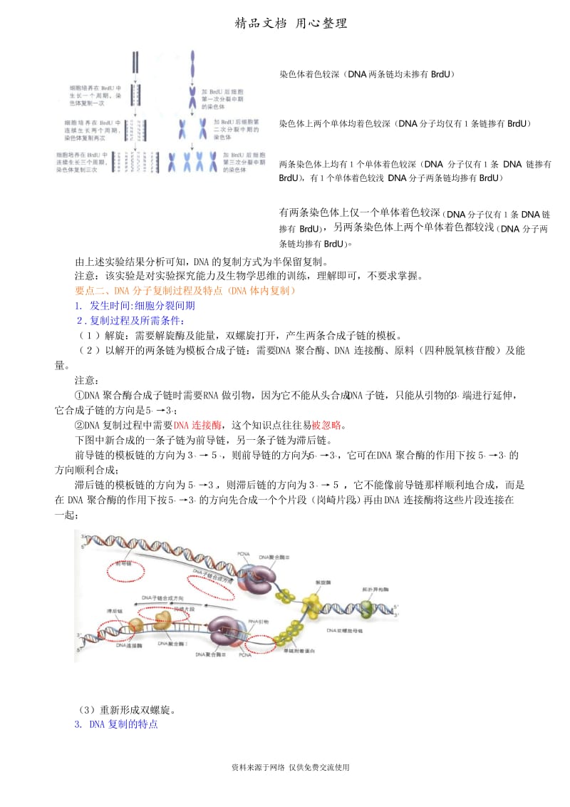 人教版高中生物总复习[知识点整理及重点题型梳理]——DNA复制及复制的证据.docx_第3页