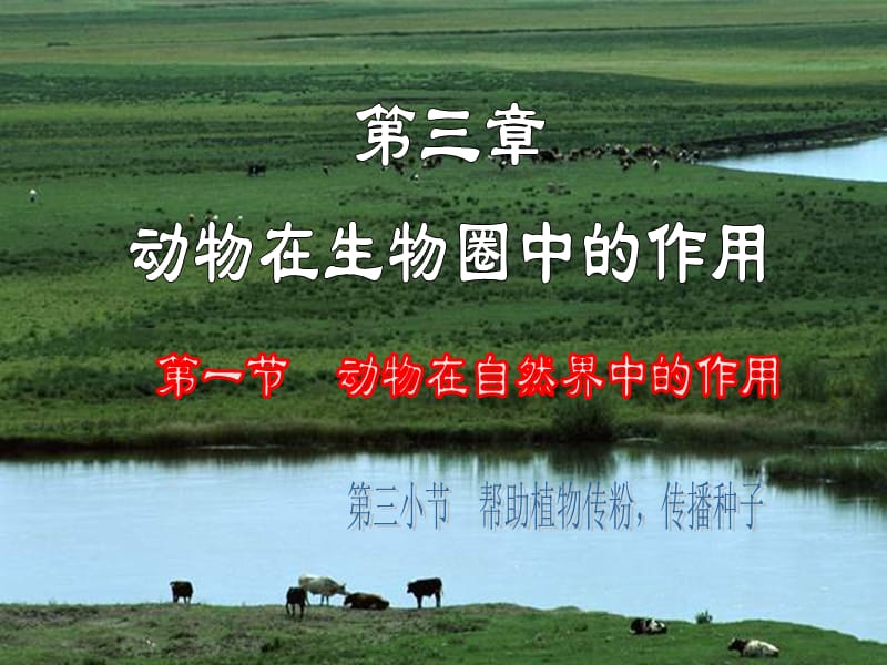 八年级上册生物 第三章动物在生物圈中的作用第一节 第三小节.ppt_第1页