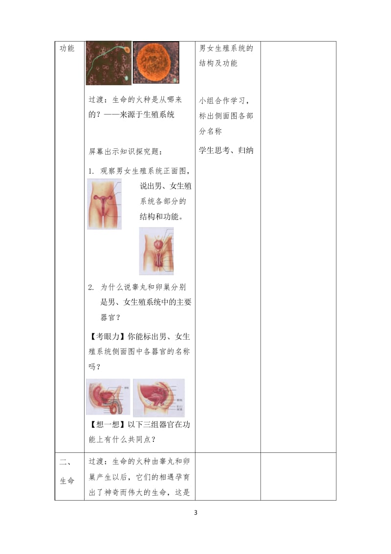 人教版生物七年级下册《人的生殖》公开课优质课教案.docx_第3页