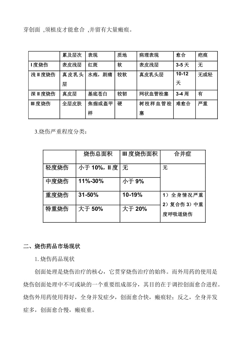 5623695730伟华烧伤药可行性研究报告.doc_第2页