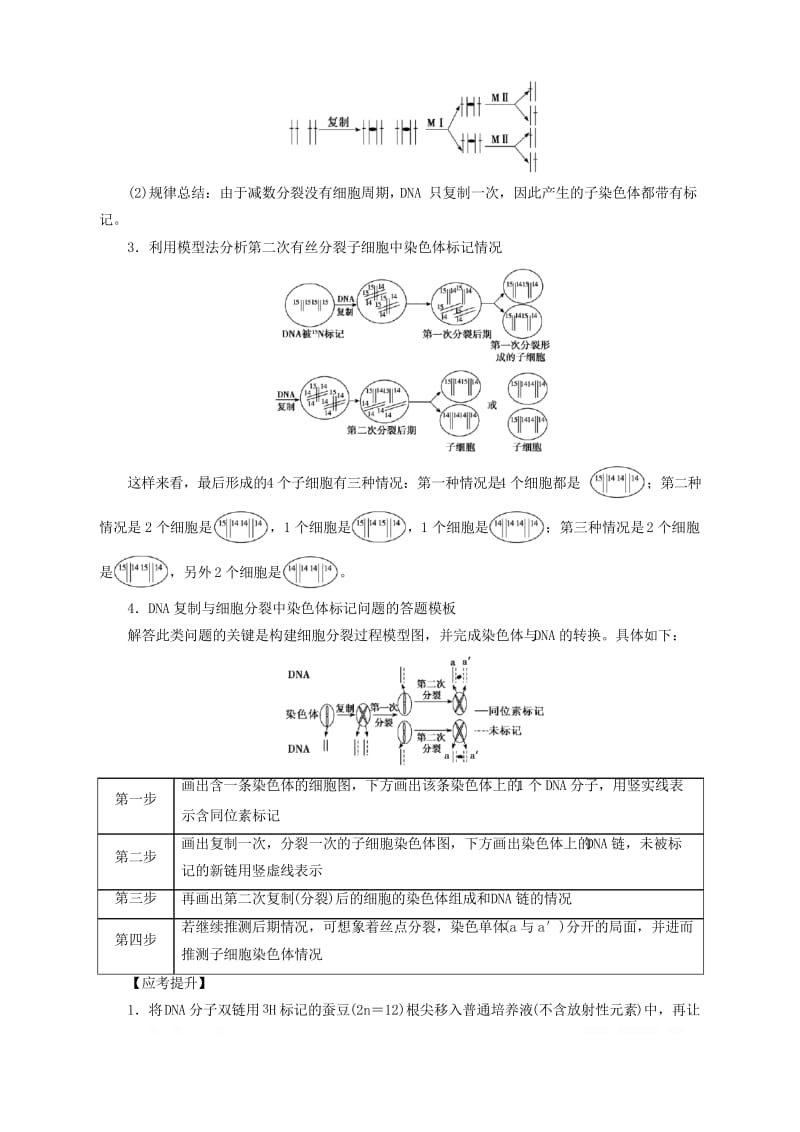 十三DNA复制与细胞分裂中染色体标记问题练习含解析新人教版.docx_第2页