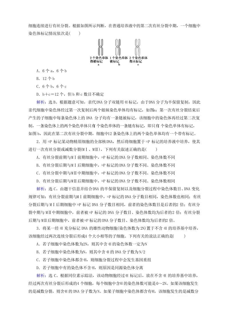 十三DNA复制与细胞分裂中染色体标记问题练习含解析新人教版.docx_第3页