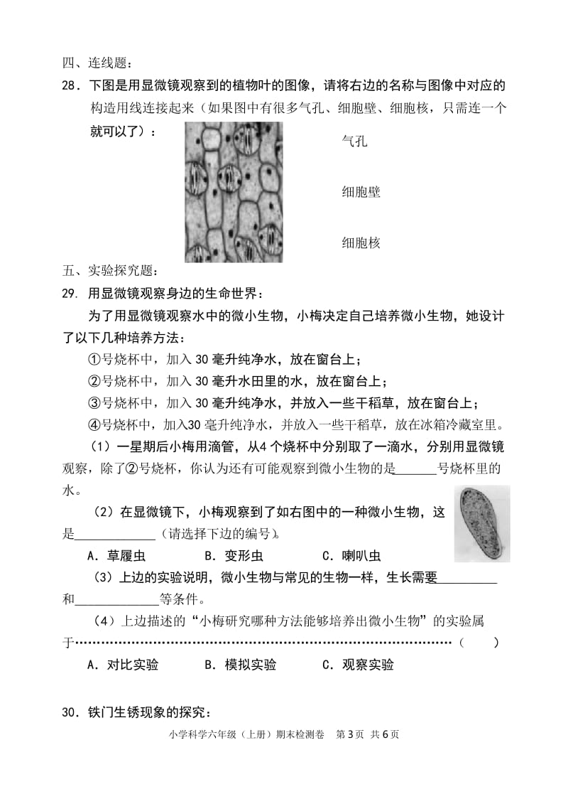 小学科学六年级(下册)期末检测卷.docx_第3页