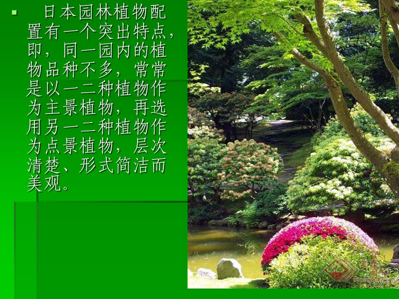 日本园林种植设计图片展.ppt_第2页