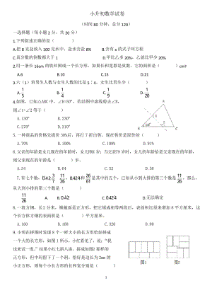 最新人教版六年级小升初数学试题.docx