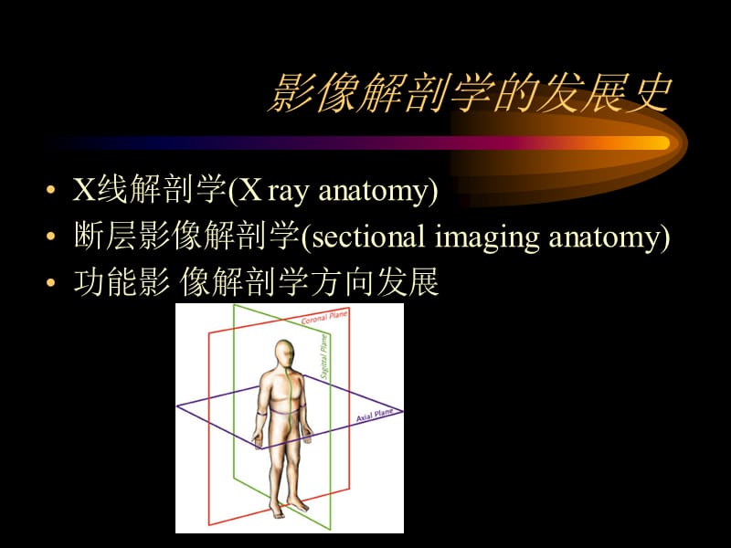 影像解剖——骨关节系统总论.ppt_第3页