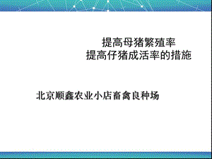 提高母猪繁殖率提高仔猪成活率的措施.ppt