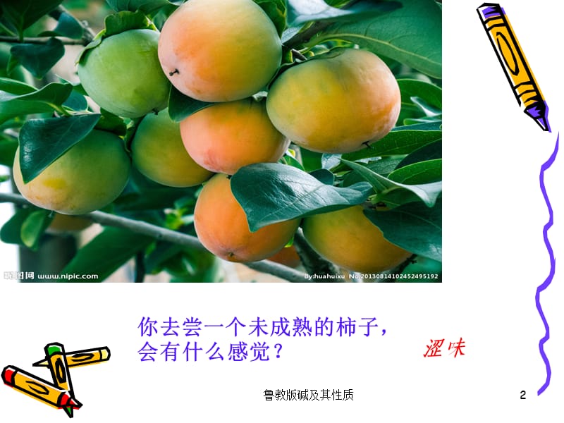 鲁教版碱及其性质课件.ppt_第2页