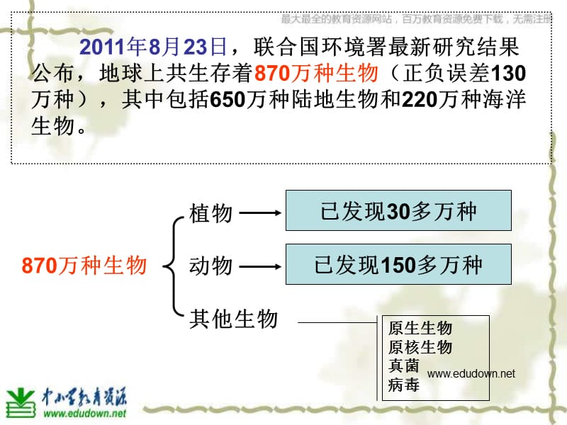 教科版科学六上《多种多样的植物》课件十.ppt_第2页