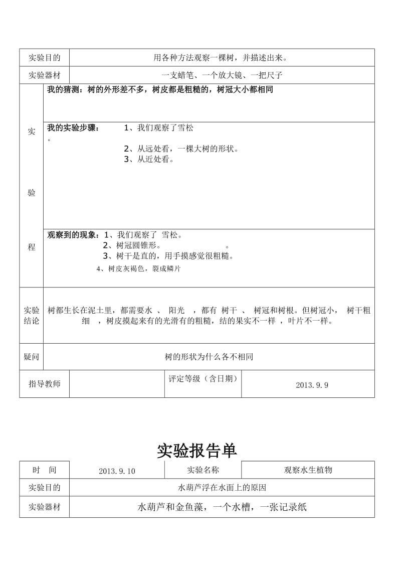 小学三年级科学上植物实验报告.doc_第2页