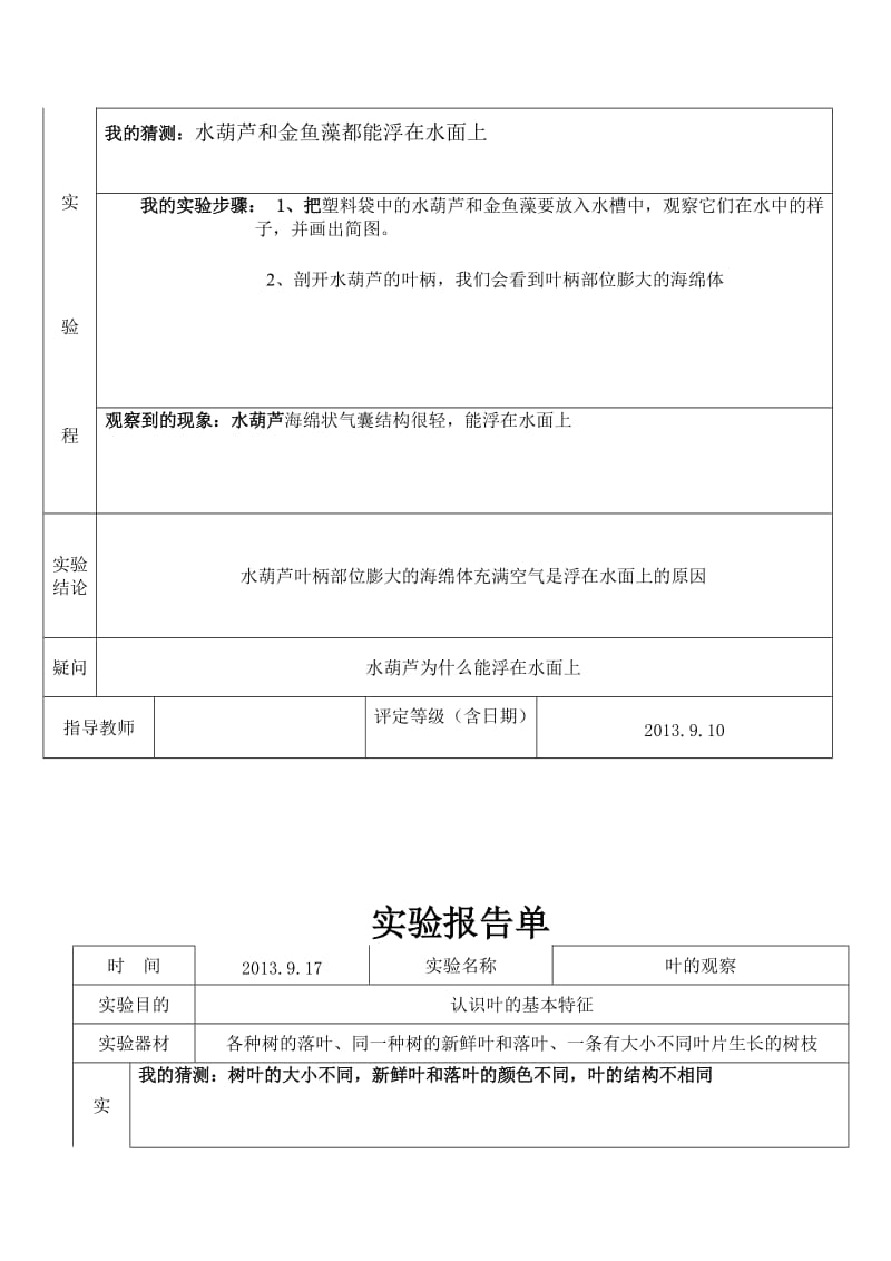 小学三年级科学上植物实验报告.doc_第3页