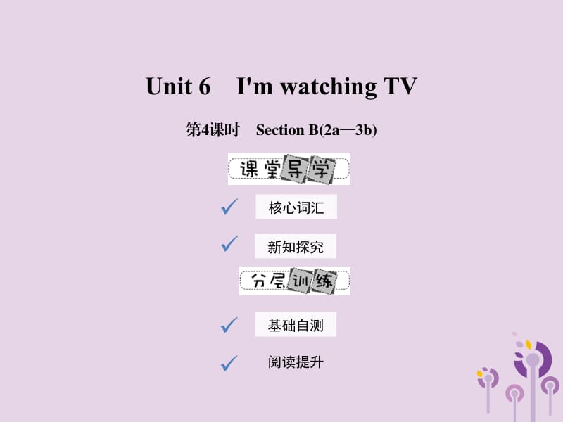 2019年春七年级英语下册 Unit 6 I&rsquo;m watching TV（第4课时）Section B（2a-3b）课件 （新版）人教新目标版.pptx_第1页