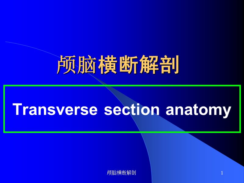 颅脑横断解剖课件.ppt_第1页