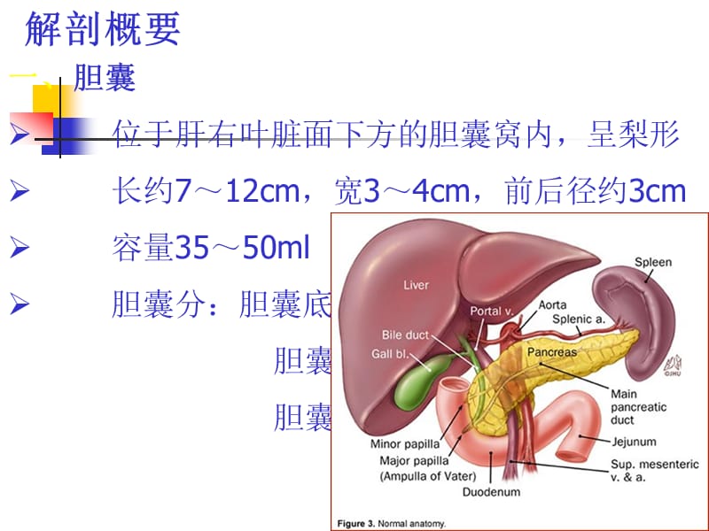 急性胆囊炎胆道引流管的护理.ppt_第3页