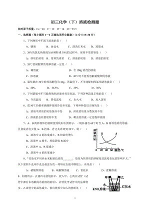 初三化学溶液检测题.doc