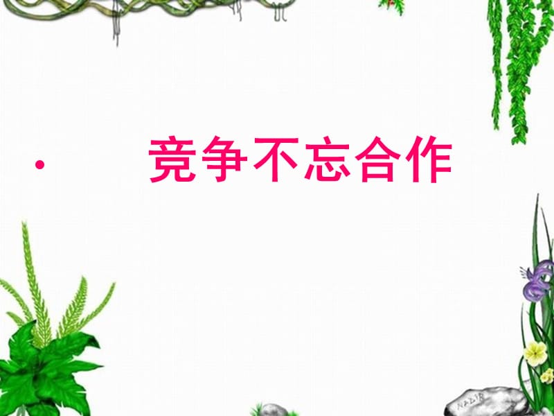 竞争不忘合作1.ppt_第1页