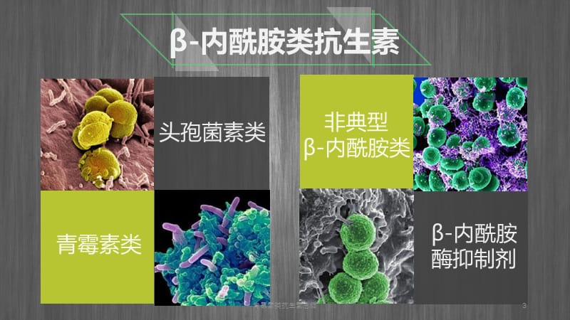 青霉素类抗生素总结课件.pptx_第3页